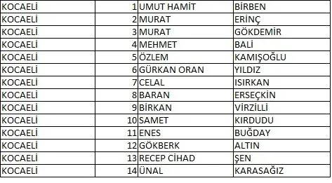 Memleket Partisi milletvekili aday listesi belli oldu, il il memleket Partisi aday listesi 54