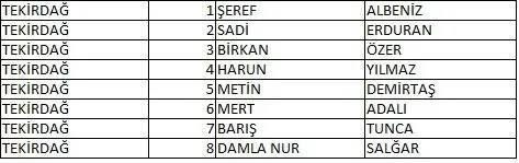 Memleket Partisi milletvekili aday listesi belli oldu, il il memleket Partisi aday listesi 66