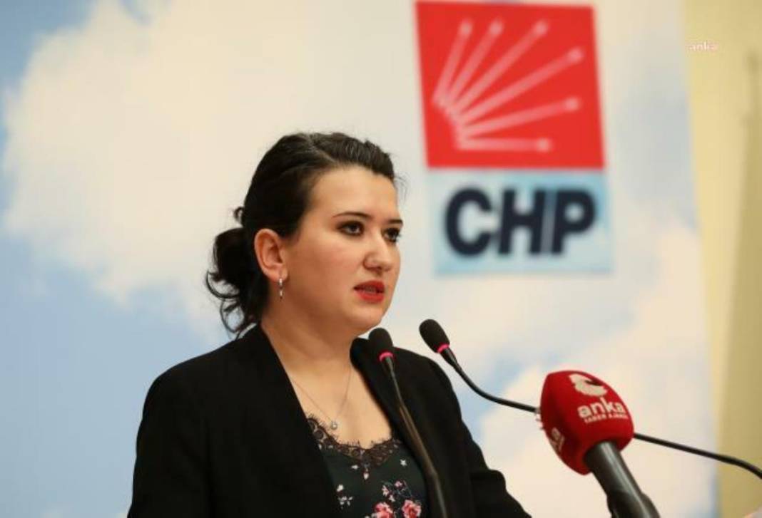 CHP'de kaç kadın milletvekili aday gösterildi? 14 Mayıs 2023'te seçimlerinde CHP kadın milletvekili adayları kim? 3