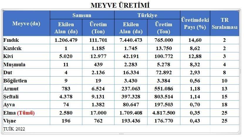 Sebze ve meyveyi Samsun üretiyor,Türkiye'nin 81 ilindeki ve dünyadaki mutfakları tüketiyor 5