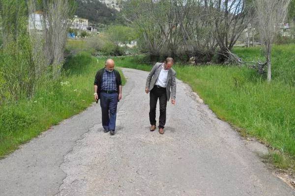 Binlerce çekirge evleri ve tarım arazilerini istila etti 4