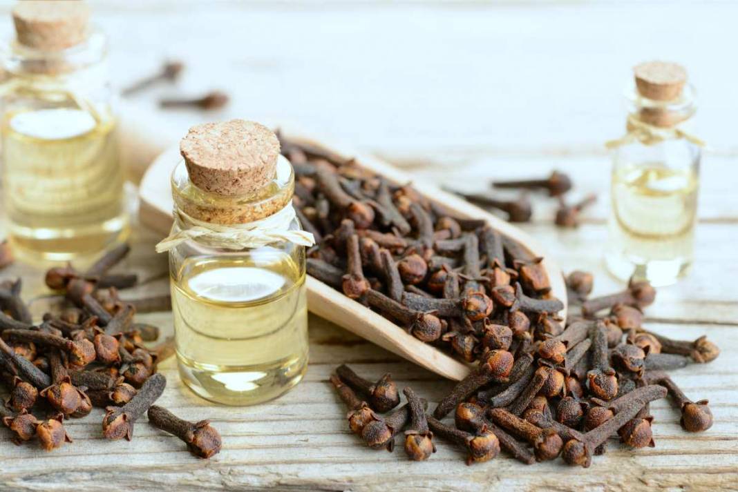 Ev  Yapımı Karanfil Yağının Faydalarını Görünce Şok Olacaksınız! Mutlaka Deneyin! 1