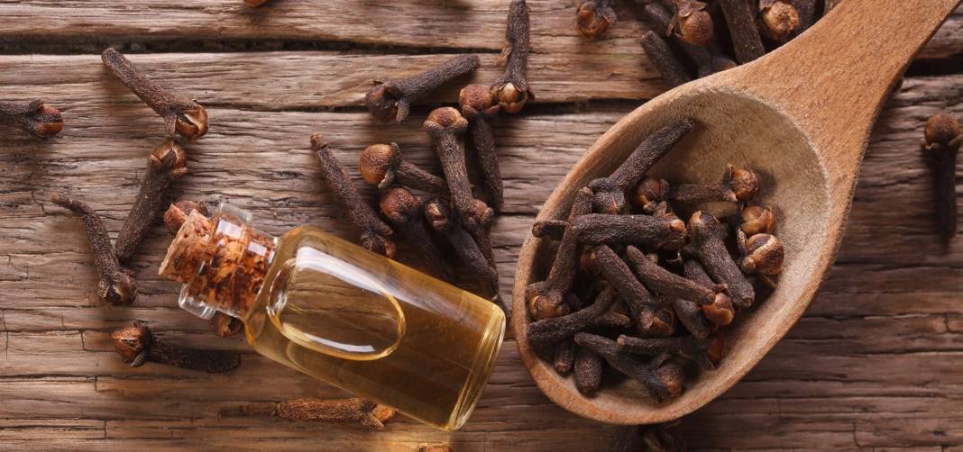 Ev  Yapımı Karanfil Yağının Faydalarını Görünce Şok Olacaksınız! Mutlaka Deneyin! 2