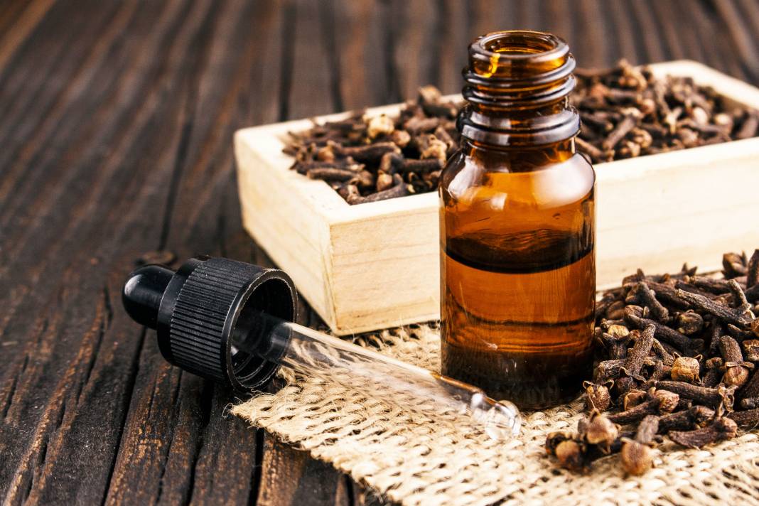 Ev  Yapımı Karanfil Yağının Faydalarını Görünce Şok Olacaksınız! Mutlaka Deneyin! 5