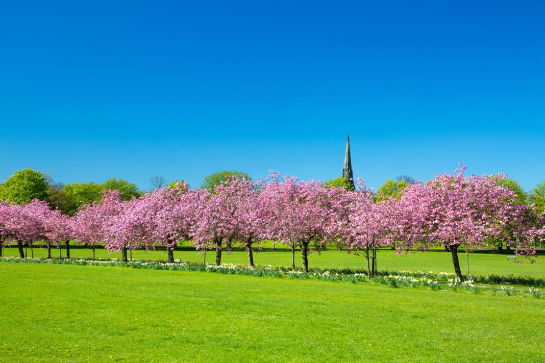 Hava Durumuna Göre Ruh Hali Ortaya Çıkıyormuş? Uzmanlar Söylüyor! Bir Göz Atın Çok İşinize Yarayacak 5