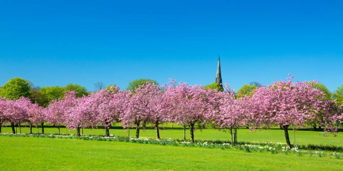Hava Durumuna Göre Ruh Hali Ortaya Çıkıyormuş? Uzmanlar Söylüyor! Bir Göz Atın Çok İşinize Yarayacak