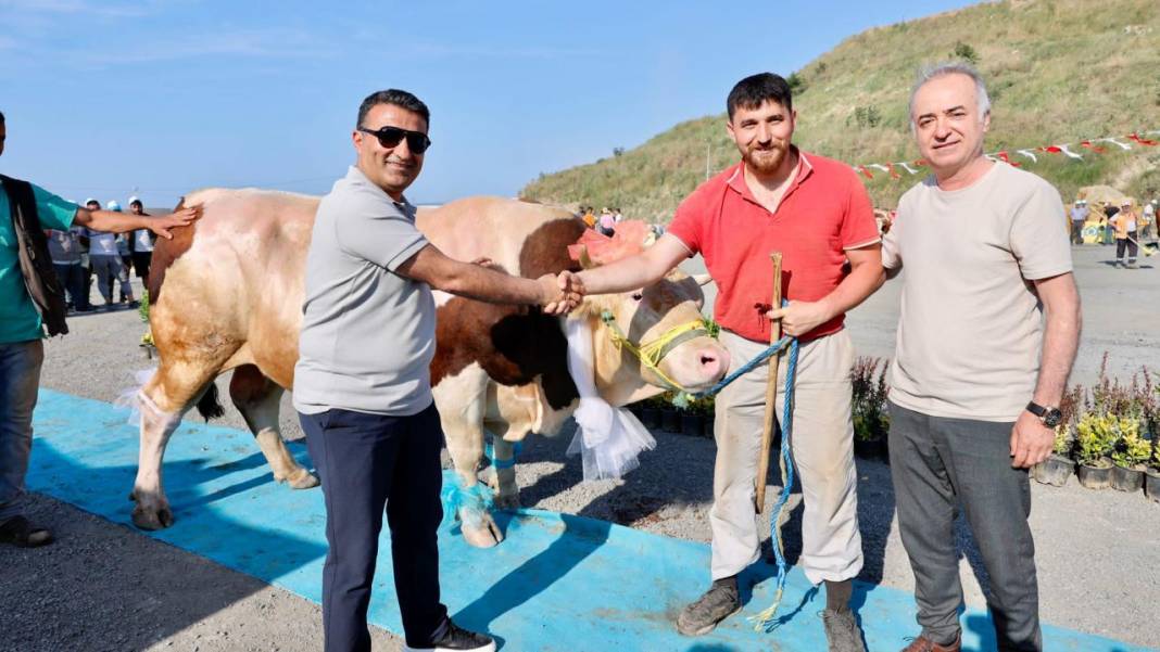 Kurbanlık güzellik yarışması düzenlendi! 9