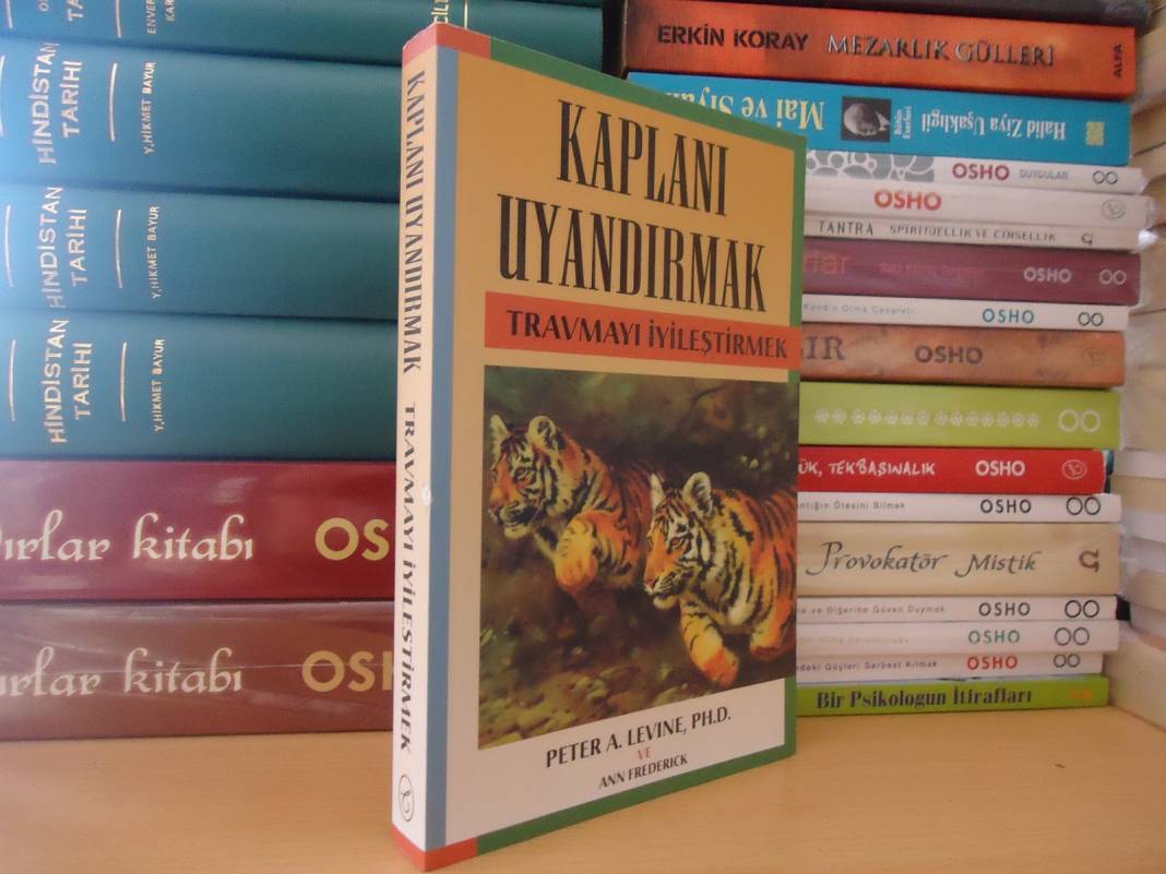 Psikolojiye İlginiz Varsa Bu Kitapları Okumadan Geçmeyin! Okuyunca Size İyi Gelecek 5 Kitap 4