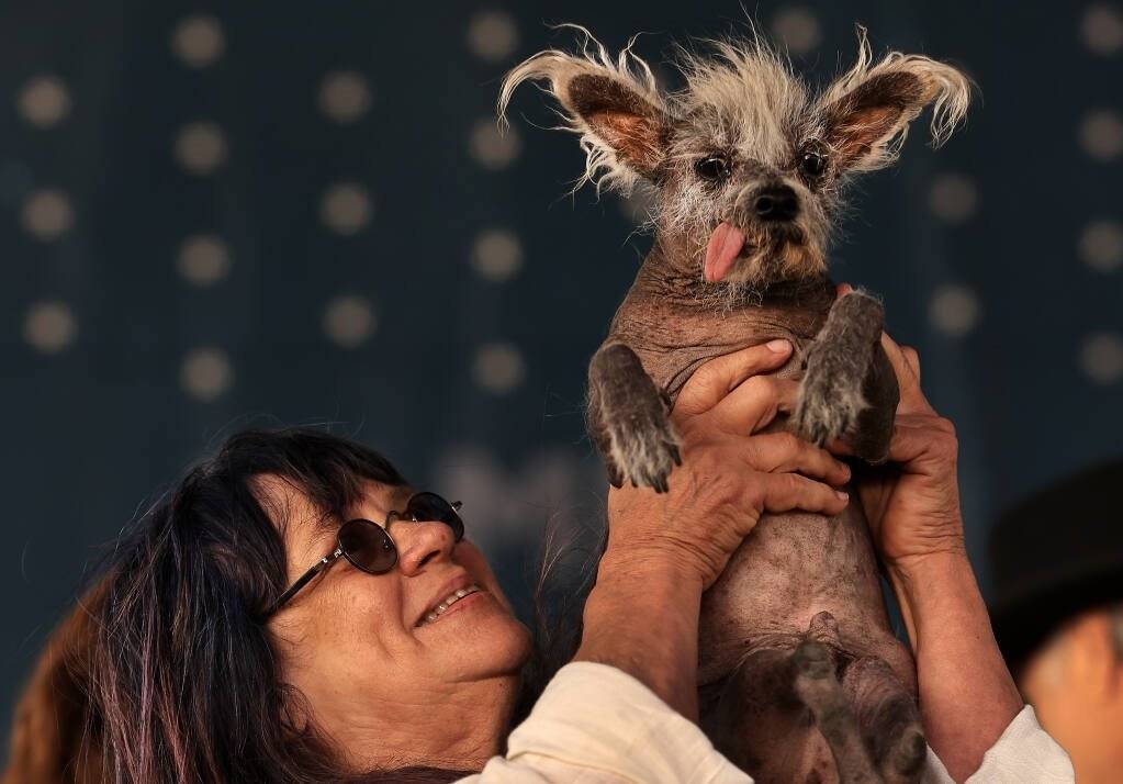 Karşınızda dünyanın en çirkin köpeği 6