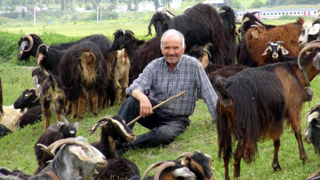 İstanbul'un ortasındaki yayla görenleri hayreye düşürüyor! 8