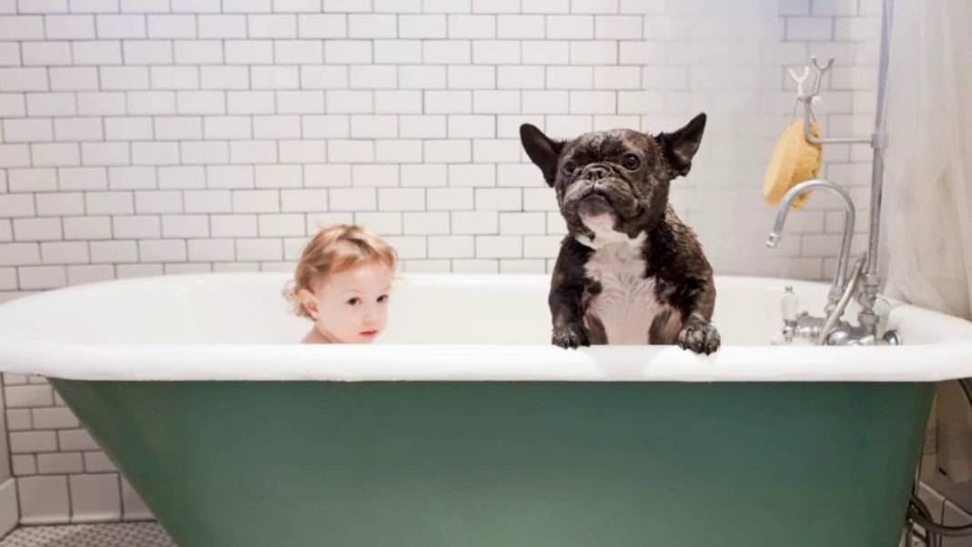 Jakuzi İle Keyif Yapmanızı Sağlayacak İnanılmaz Fikirler 5