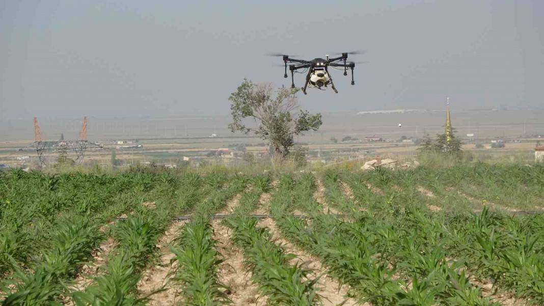 Teknolji gelişmeler tarımda gelir ve kaliteyi artırıyor, Niğde’de tarlalar dron ile ilaçlanıyor 1