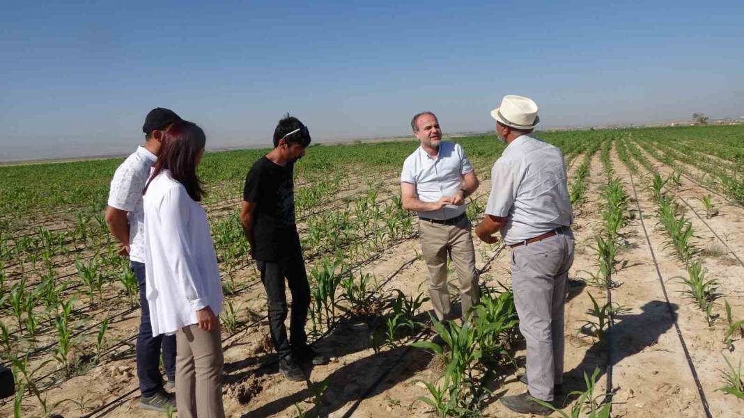 Teknolji gelişmeler tarımda gelir ve kaliteyi artırıyor, Niğde’de tarlalar dron ile ilaçlanıyor 4