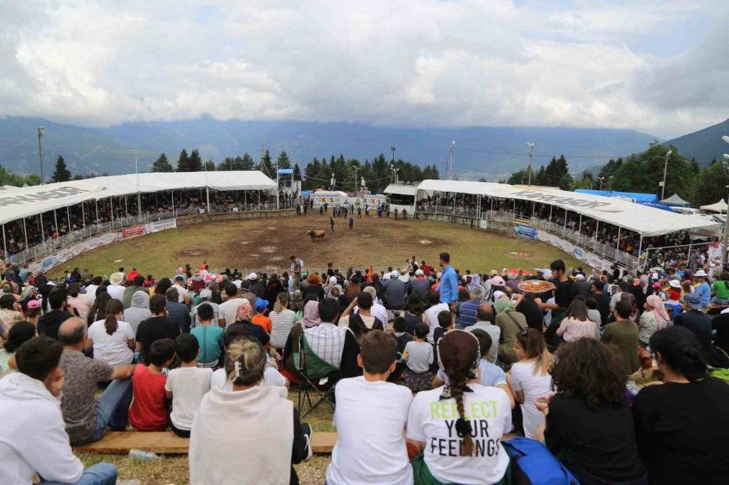 Kafkasör Festivali’nin 3. gününde 32 boğa güreşti, izleyenler seyir zevkine doyamadı, işte o muhteşem anlar 4