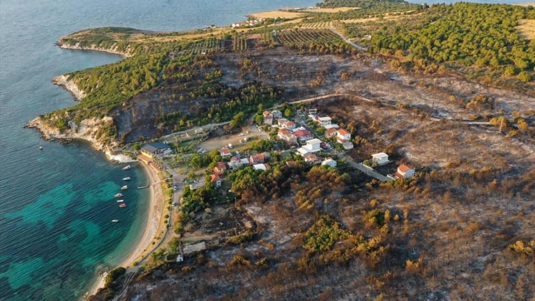 İzmir'de çıkan yangın'dan geriye kalan görüntüler! Kontrol altına alındı! 1