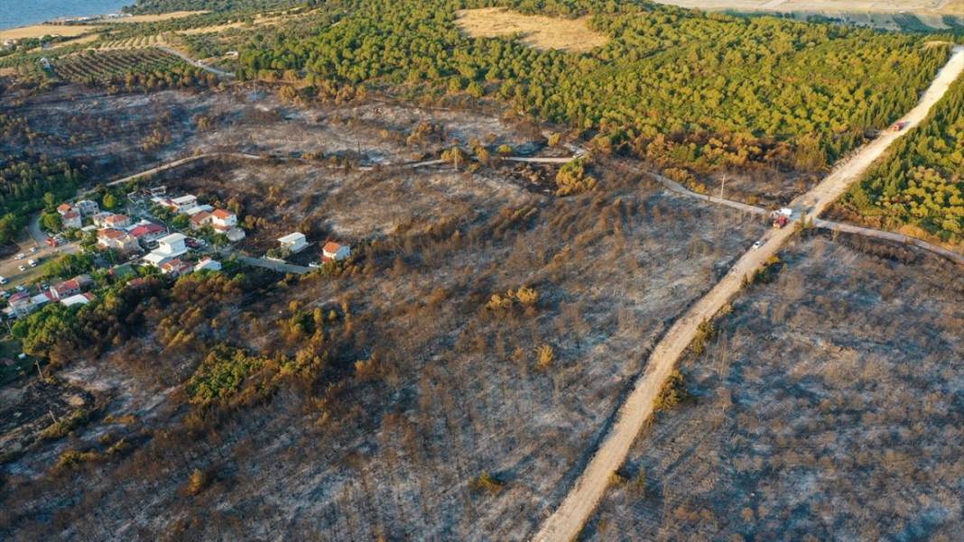 İzmir'de çıkan yangın'dan geriye kalan görüntüler! Kontrol altına alındı! 9