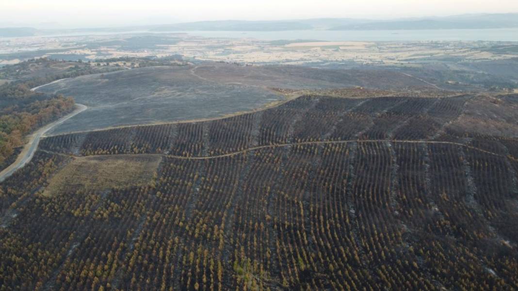 Çanakkale'de çıkan yangın kontrol altına alındı! 3 gün sonra alevler dizginlenebildi! 12