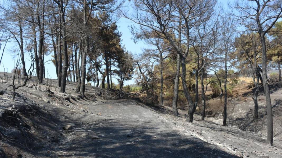 Çanakkale'de çıkan yangın kontrol altına alındı! 3 gün sonra alevler dizginlenebildi! 5