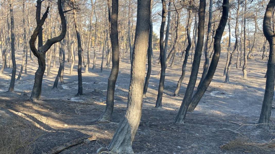 Çanakkale'de çıkan yangın kontrol altına alındı! 3 gün sonra alevler dizginlenebildi! 9