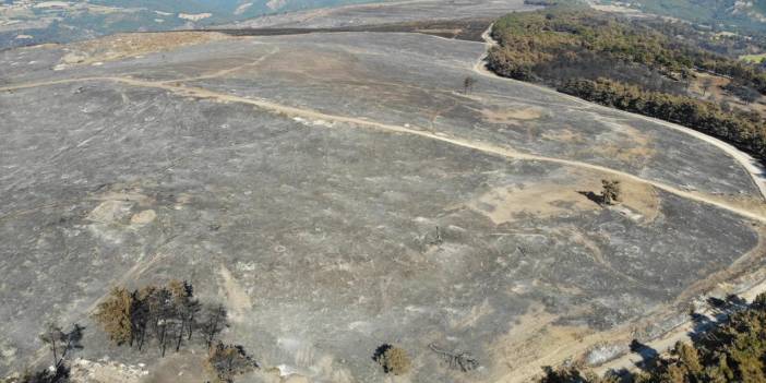 Çanakkale'de çıkan yangın kontrol altına alındı! 3 gün sonra alevler dizginlenebildi!