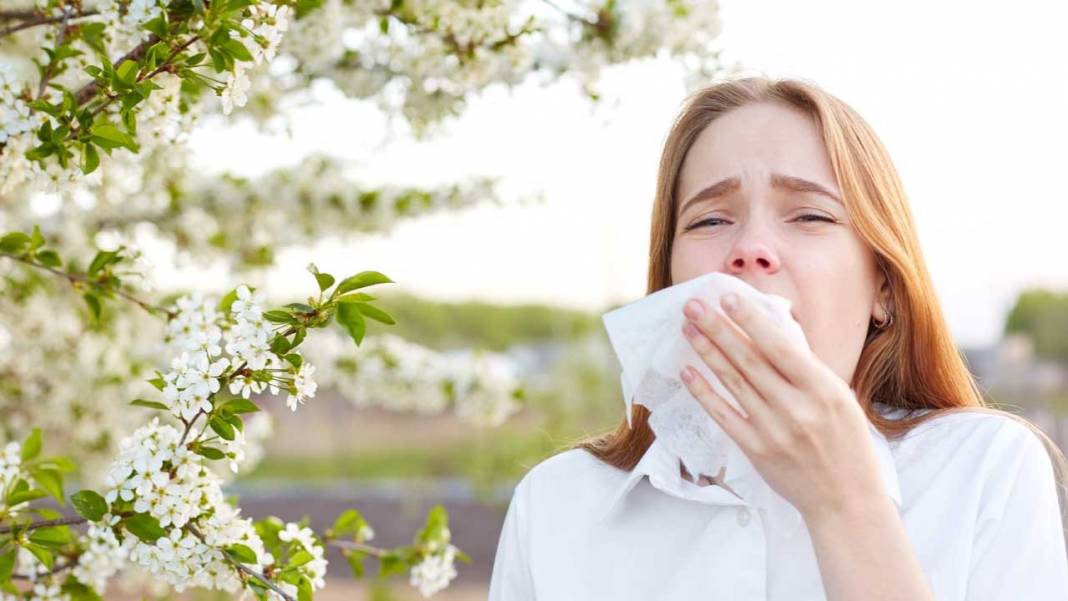 Alerji Nedir? Belirtileri Nelerdir? Alerjisi Olan Ne Yapmalı 2