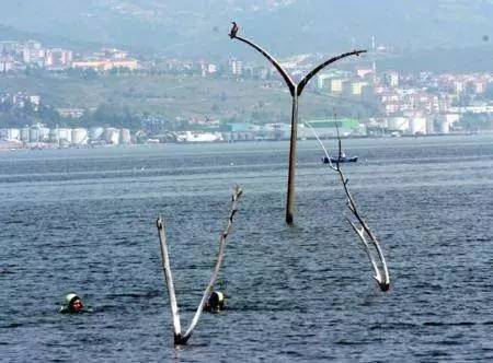 45 saniye sürmüştü! 17 Ağustos Gölcük depreminin üzerinden bugün 24 yıl geçti! 47