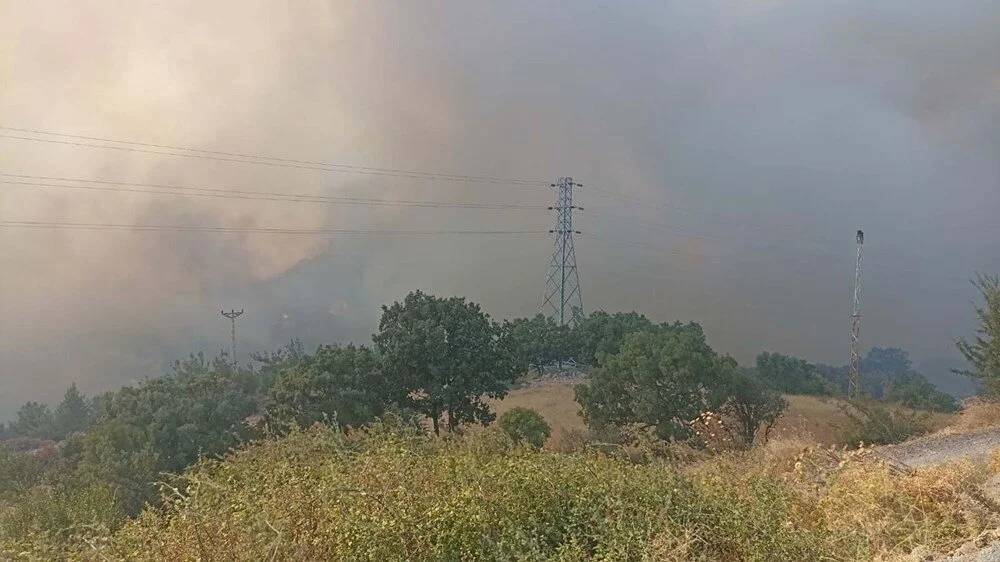 Çanakkale yangını giderek büyüyor, Bakanlık ve AFAD'dan üst üste kritik açıklamalar 15