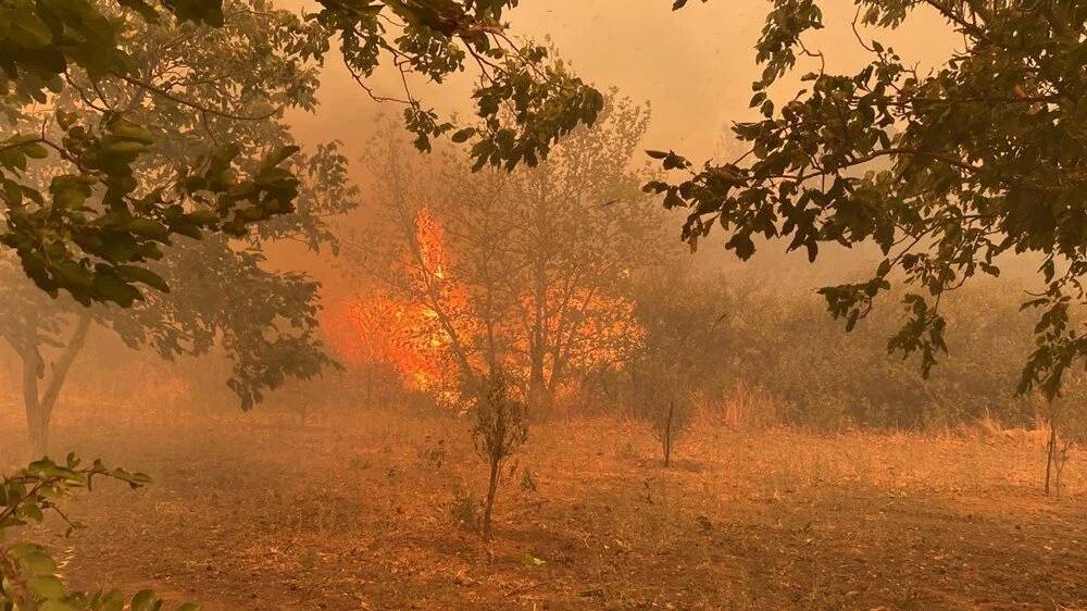 Çanakkale yangını giderek büyüyor, Bakanlık ve AFAD'dan üst üste kritik açıklamalar 7