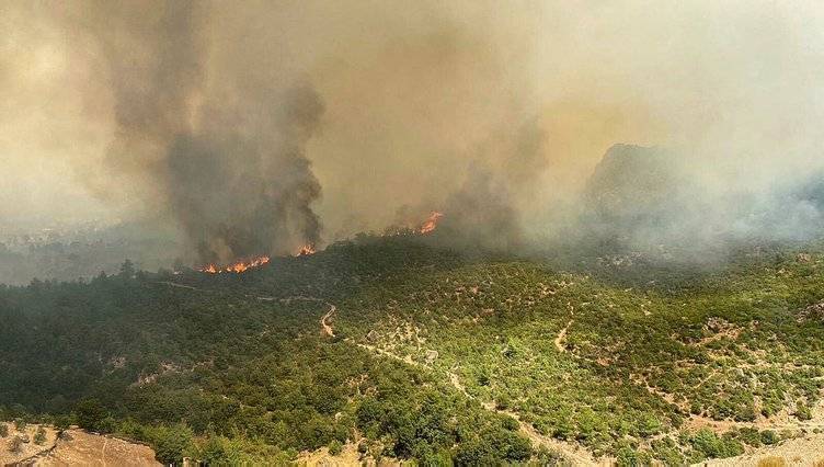 Çanakkale orman yangının çıkış nedeni belli oldu, o köyün muhtarı açıkladı! İşte yangının çıkış nedeni! 2