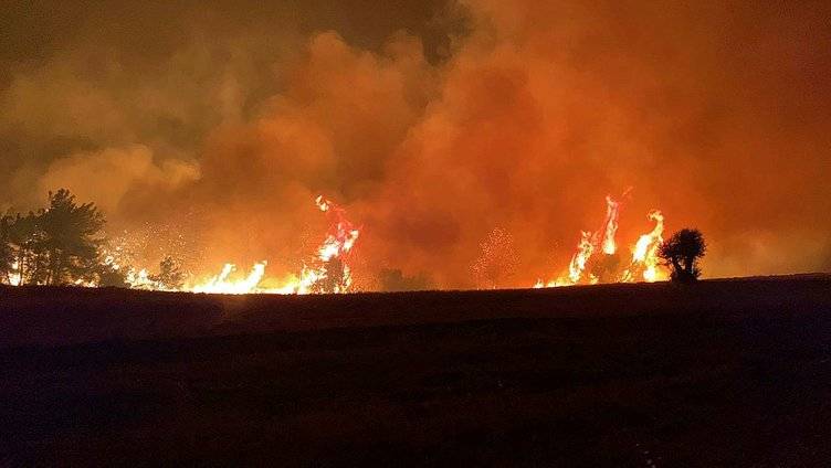 Çanakkale orman yangının çıkış nedeni belli oldu, o köyün muhtarı açıkladı! İşte yangının çıkış nedeni! 4