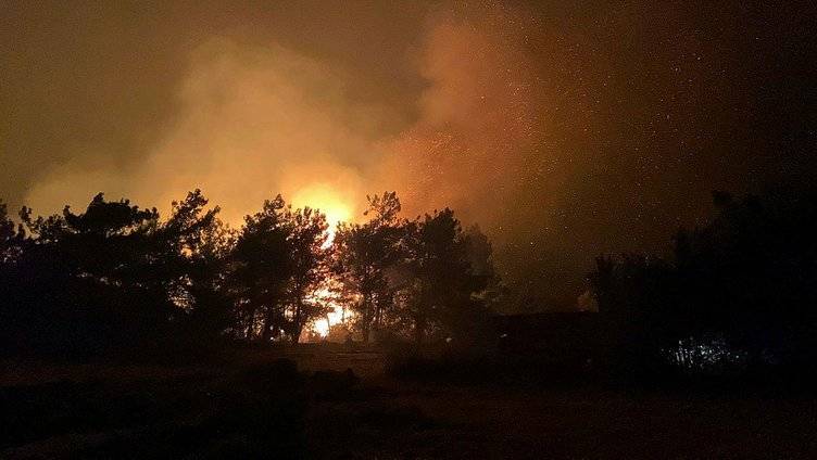 Çanakkale orman yangının çıkış nedeni belli oldu, o köyün muhtarı açıkladı! İşte yangının çıkış nedeni! 5