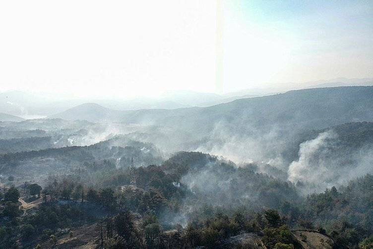 Çanakkale orman yangının çıkış nedeni belli oldu, o köyün muhtarı açıkladı! İşte yangının çıkış nedeni! 6