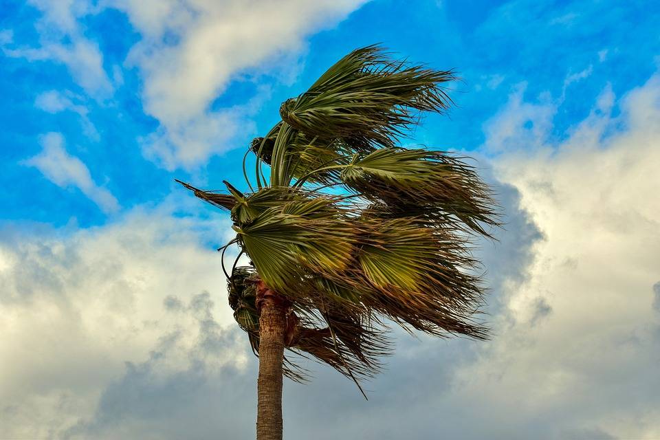 Meteoroloji o bölgeleri uyardı! 26 Ağustos Cumartesi tüm illerimizde hava durumu 3