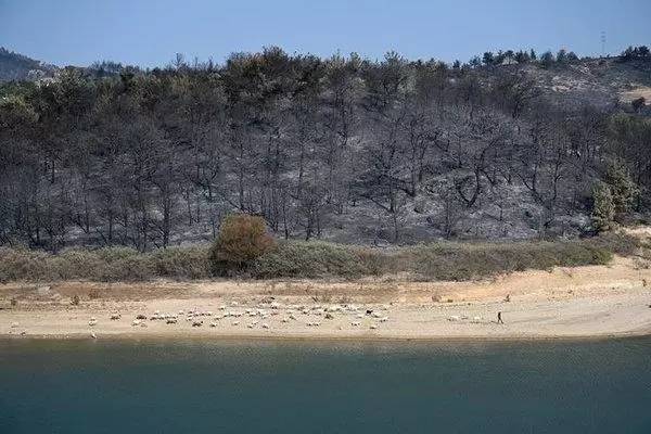 CHP'li başkan aranıyor! Çanakkale'de ormanlarımız yanarken Başkanın tatilde olduğu ortaya çıktı 12