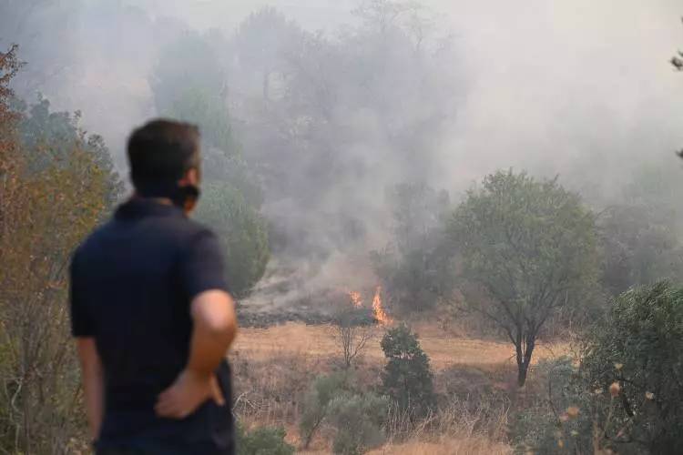 CHP'li başkan aranıyor! Çanakkale'de ormanlarımız yanarken Başkanın tatilde olduğu ortaya çıktı 2