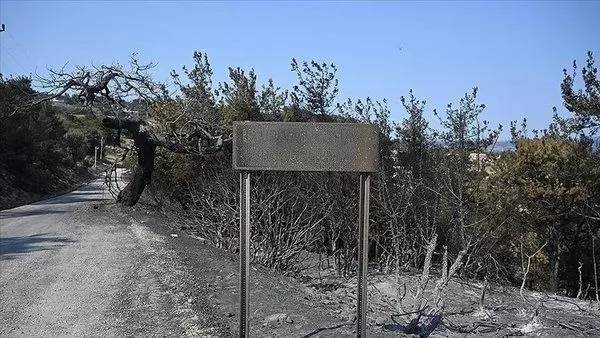 CHP'li başkan aranıyor! Çanakkale'de ormanlarımız yanarken Başkanın tatilde olduğu ortaya çıktı 9