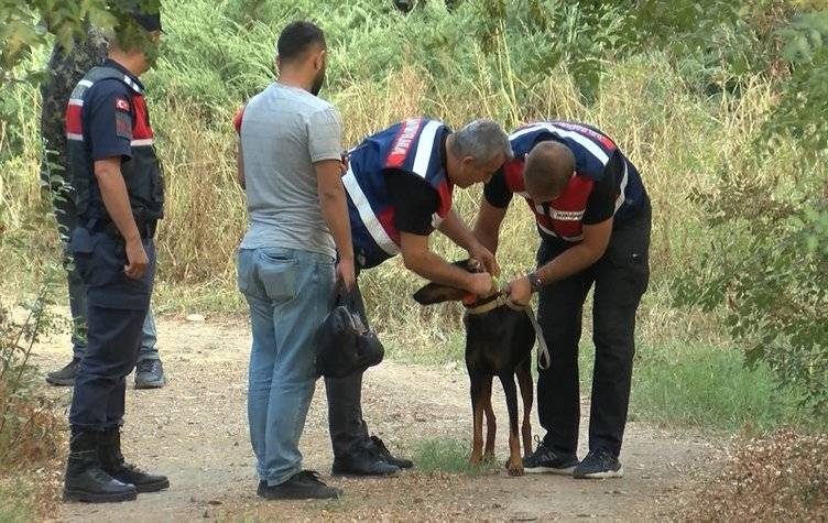 Ekonomist Korhan Berzek için Flaş gelişme!100 gündür aranıyordu, Vali üzücü haberi verdi! 'Malesef...' 2