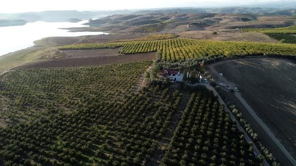 Belediye memuruyken işten çıkarıldı, şimdi paraya para demiyor! 13