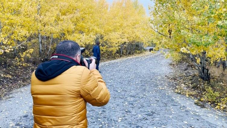 Düğün çekimini ayılar bastı: Gelin ve damat ne yapacağını şaşırdı, kendilerini arabanın içine zor attılar, İşte o anlar 5