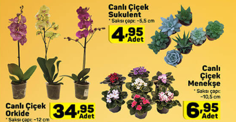 A101 aktüel 21 Kasım | A101 21 Kasım 2019 kataloğu 12