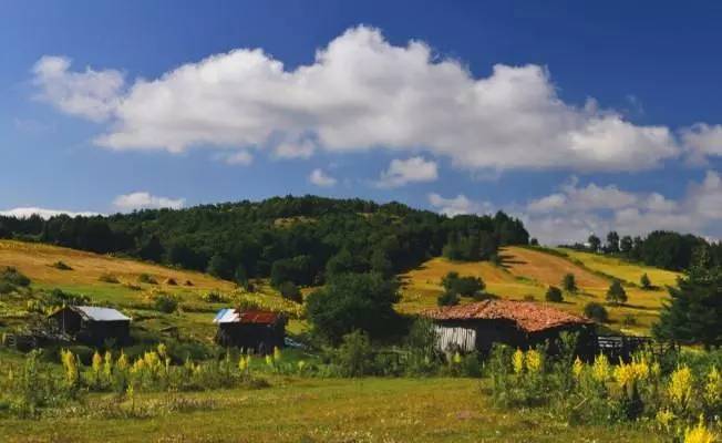 O Köy Nüfusu ile 79 ilçeden daha büyük! Türkiye'nin en büyük köyleri açıklandı 7