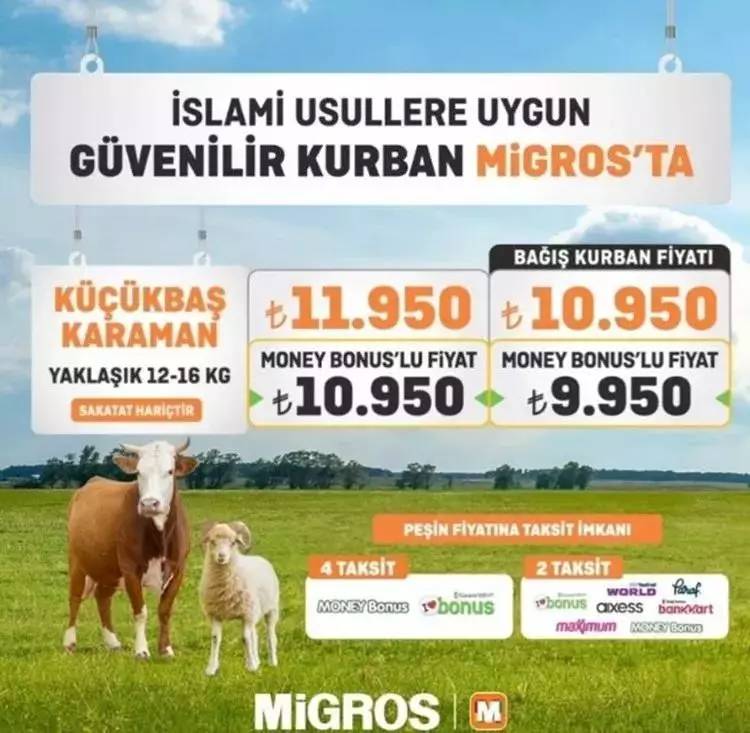 Zincir marketler Kurban fiyatlarını açıkladı! CarrefourSA , A101, ve Migros kurbanlık fiyat listesi 2024 4