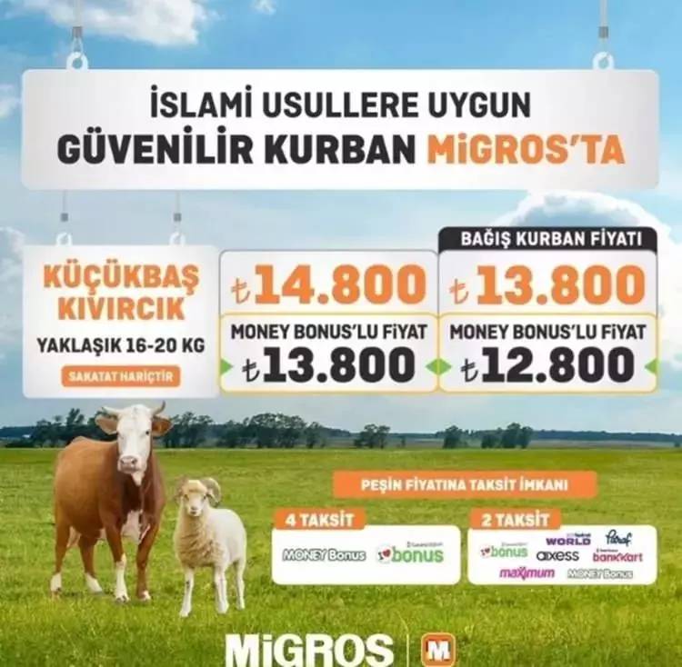 Zincir marketler Kurban fiyatlarını açıkladı! CarrefourSA , A101, ve Migros kurbanlık fiyat listesi 2024 5