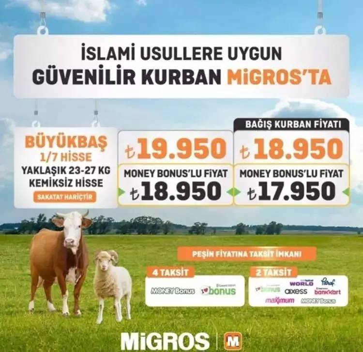 Zincir marketler Kurban fiyatlarını açıkladı! CarrefourSA , A101, ve Migros kurbanlık fiyat listesi 2024 6