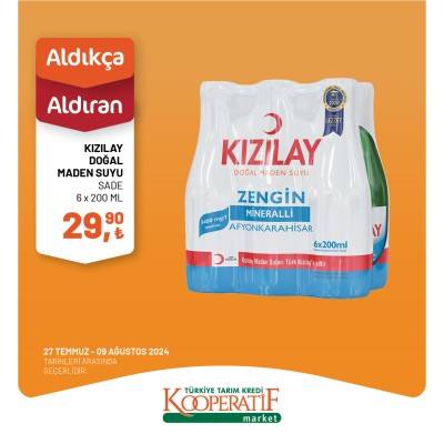 Aldıkça Aldıran fiyatlar! Tarım Kredi Kooperatif Market 27 Temmuz, 9 Ağustos 2024 indirimli ürünler kataloğu 32