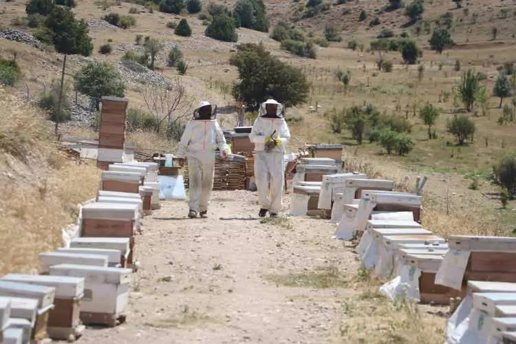 Kanser tedavisinde iyileştirme sürecini hızlandırıyor! Altın değerinde gramı 2 bin beş yüz TL'den satılıyor 4