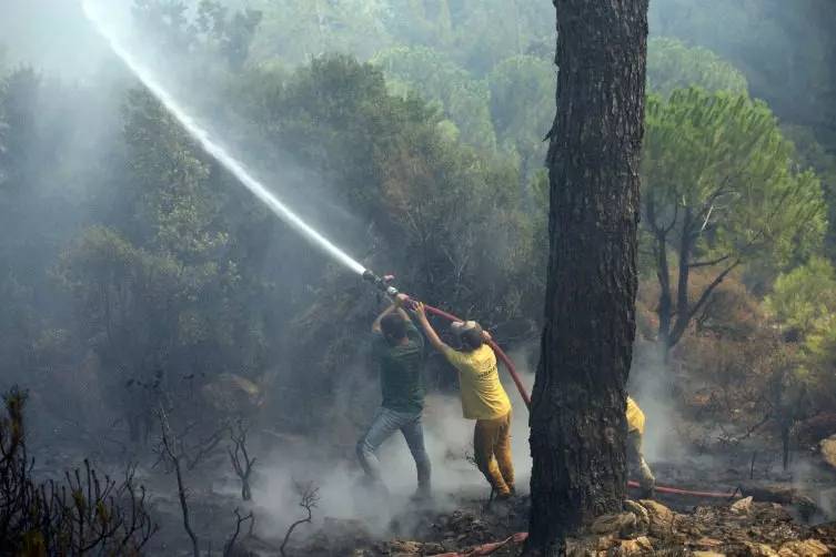 Bakan Yumaklı son durumu paylaştı! 3 yangın daha çıktı! 7 kişi gözaltında 2 kişi tutuklandı: İşte yangınlarda son durum 14