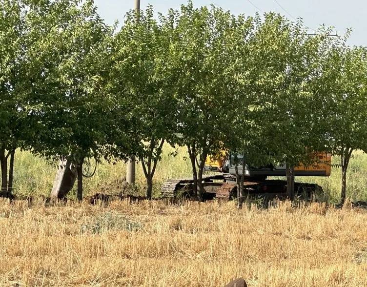 Türkiye günlerdir Narin Güran'dan haber bekliyordu! İçişleri Bakanı Ali Yerlikaya, acı haberi  duyurdu 14