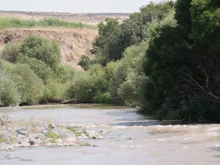 Narin Güran'ın engelli ablası da mı cinayete kurban gitti? Savcılık şüpheli ölümle ilgili soruşturma başlattı 10