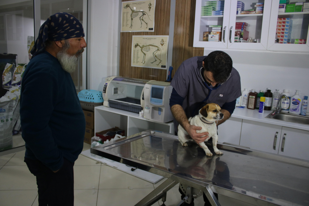 Vatandaşlar zamanla yarıştı! Boğulan köpeğe dakikalarca kalp masajı yaptılar 10